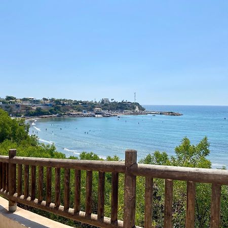 Dehesa de Campoamor  Olive Tree Bungalow La Zenia מראה חיצוני תמונה